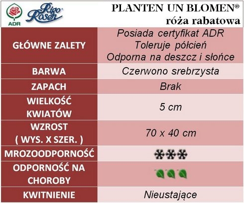 Planten un Blomen